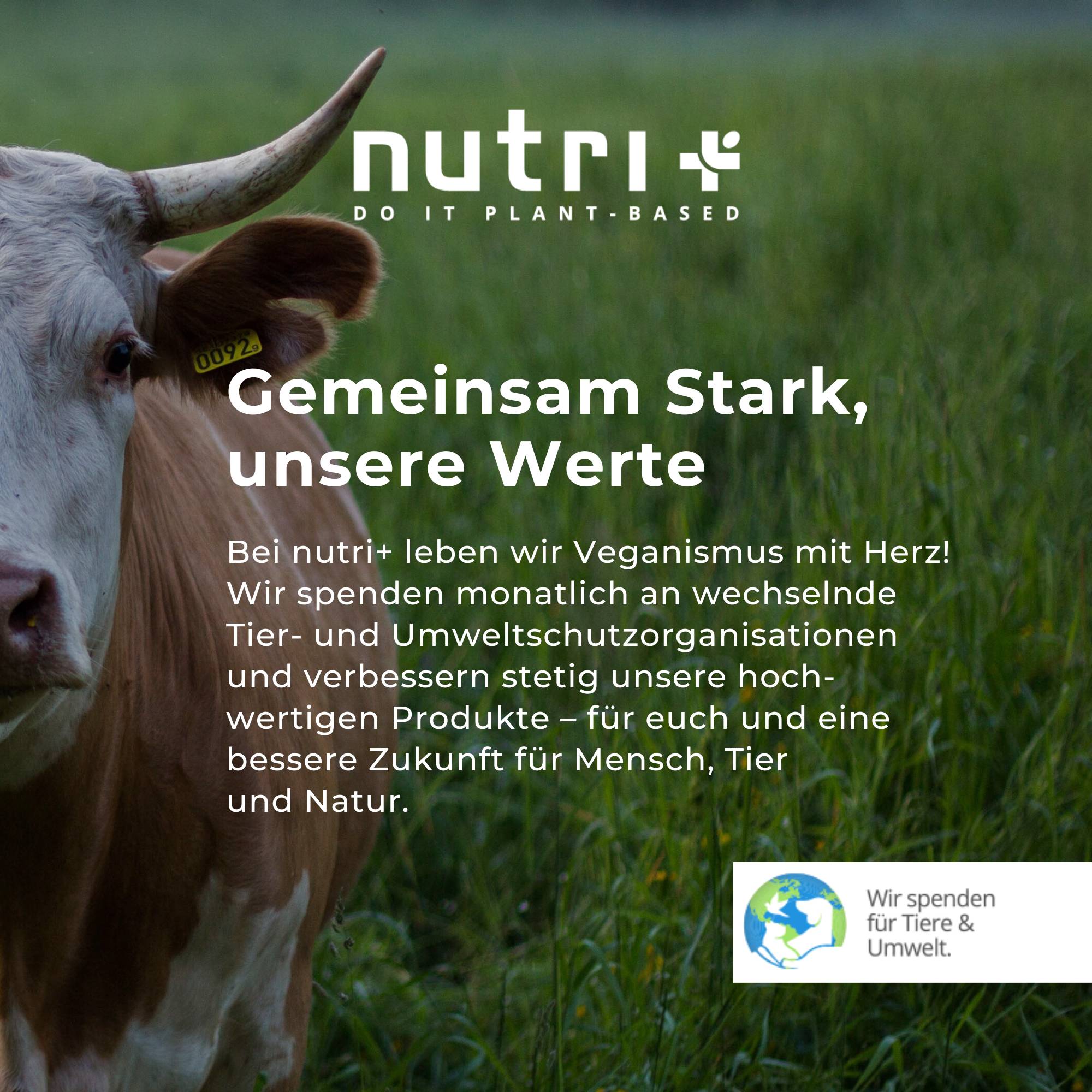 Infografik zur Vegan 6K Protein Box II mit Fokus auf Tier- und Umweltschutz sowie nachhaltigen Werten.