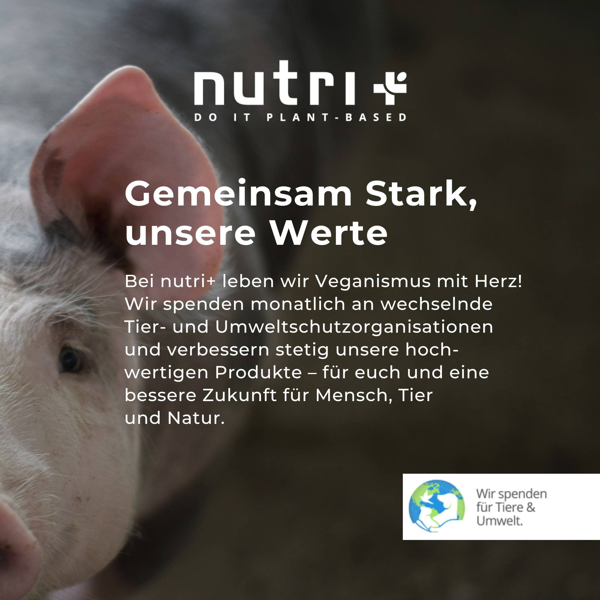 Logo und Slogan von nutri+ mit Fokus auf Veganismus und Tier- und Umweltschutz für die Vegan 3K Protein Box II.