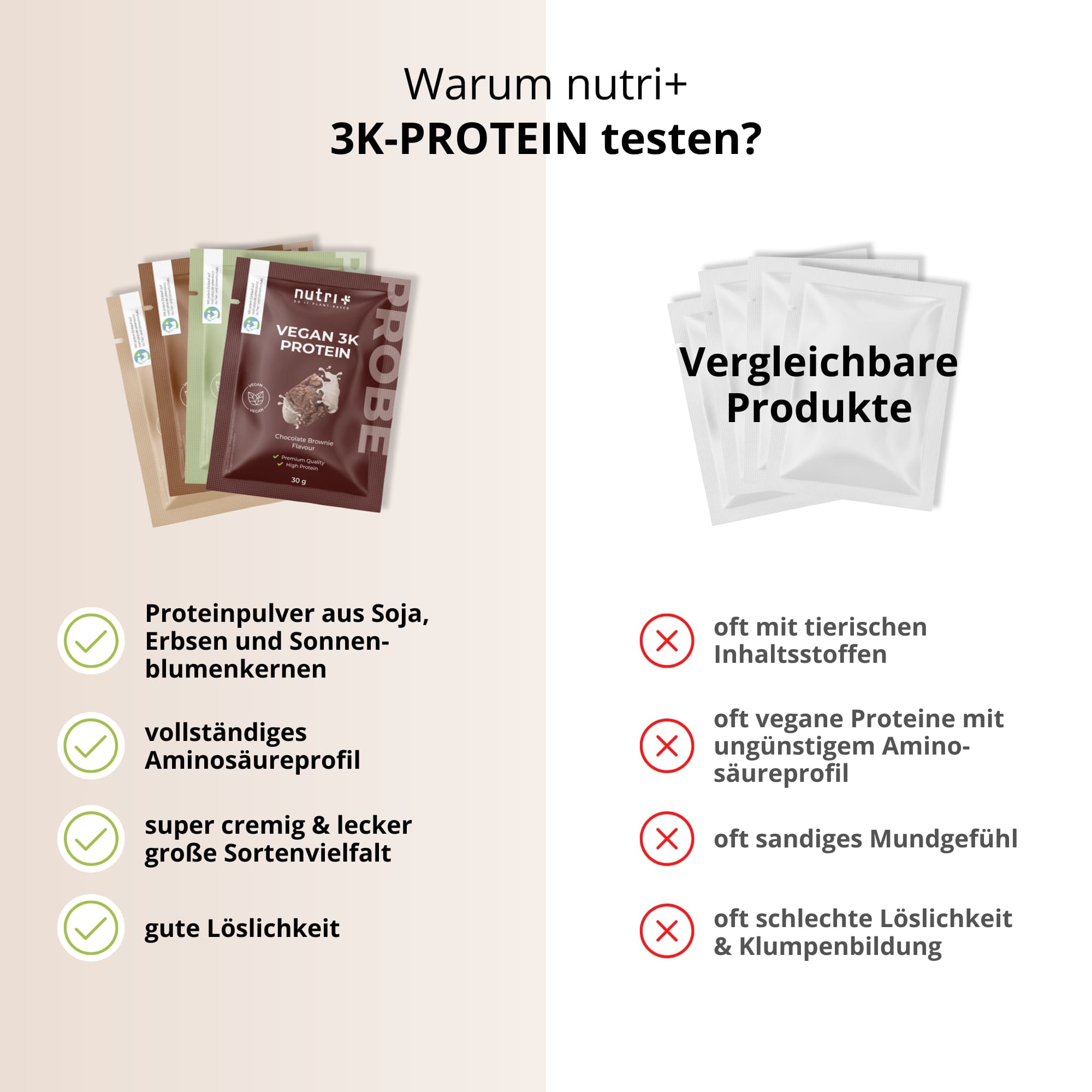 Vegan 3K Protein Box II mit verschiedenen Proteinpulver-Proben aus Soja, Erbsen und Sonnenblumenkernen.