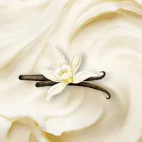 Vanille Creme mit Vanille Schote