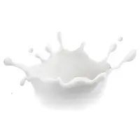 Milchsplash mit dynamischen Spritzern auf weißem Hintergrund, der die Frische von Milch symbolisiert.