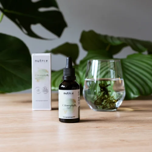 Erfrischendes Nutri Chlorophyll in Flasche, umgeben von Pflanzen und Wasser, auf einem Holztisch.