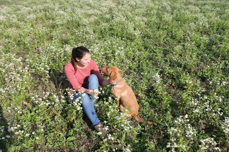 Frau mit braunem Hund sitzt in einer blühenden Wiese voller weißer Blumen.