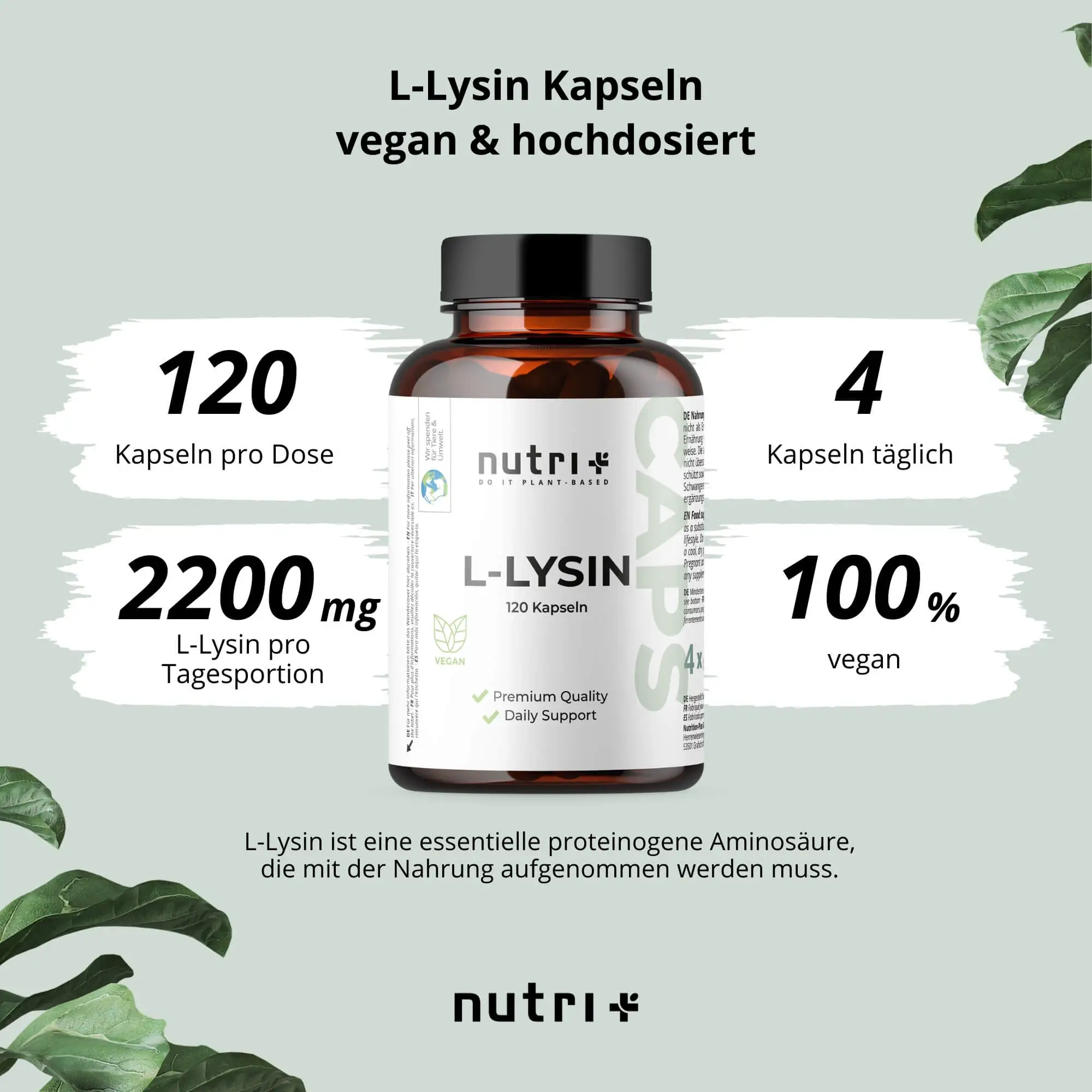 L-Lysin Kapseln in braunem Glasbehälter, vegan, 120 Kapseln, 2200mg pro Tagesdosis, Premium Qualität.