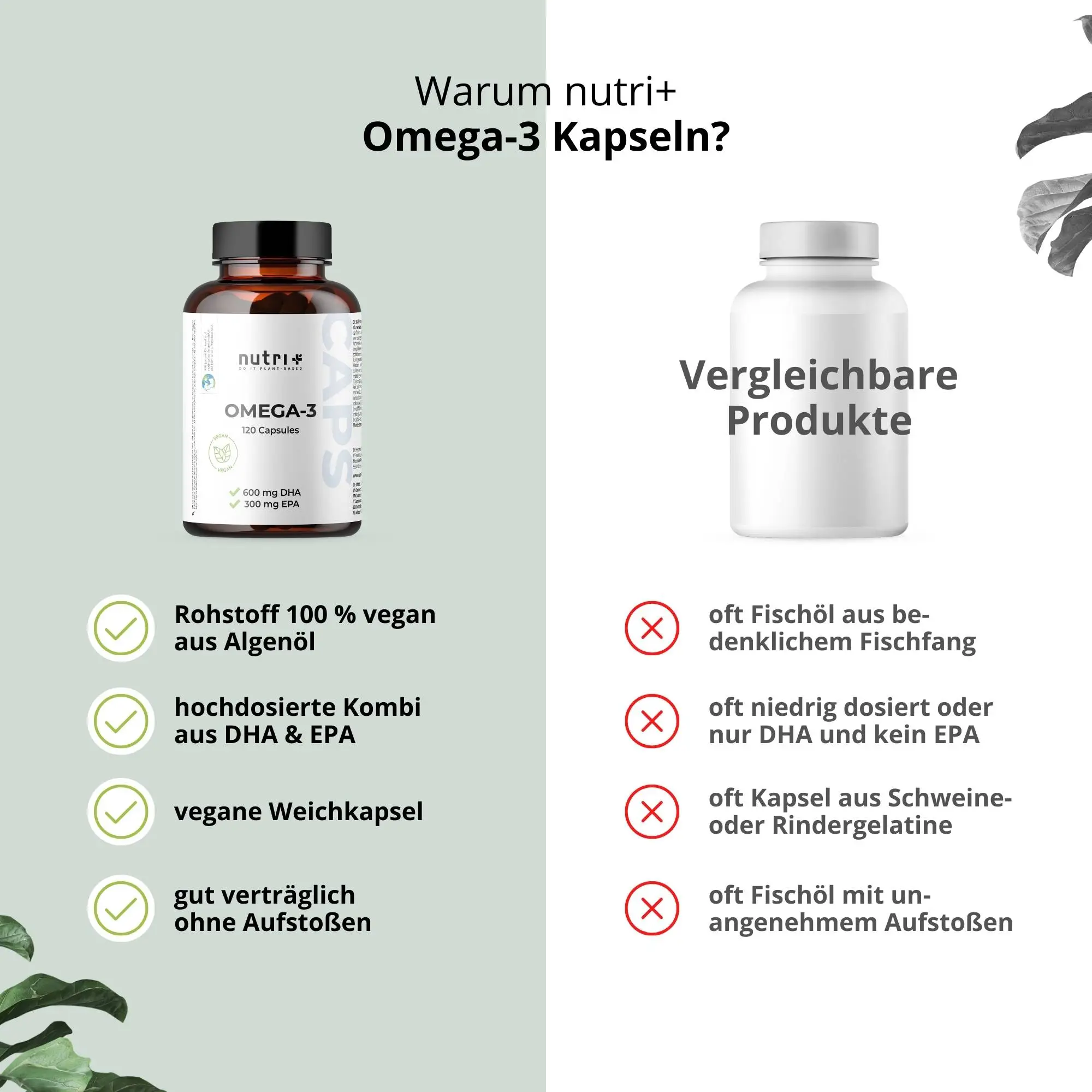 Flasche Omega 3 Vegan - mit EPA & DHA, Kapseln in einem ansprechenden Design, aus 100% Algen.