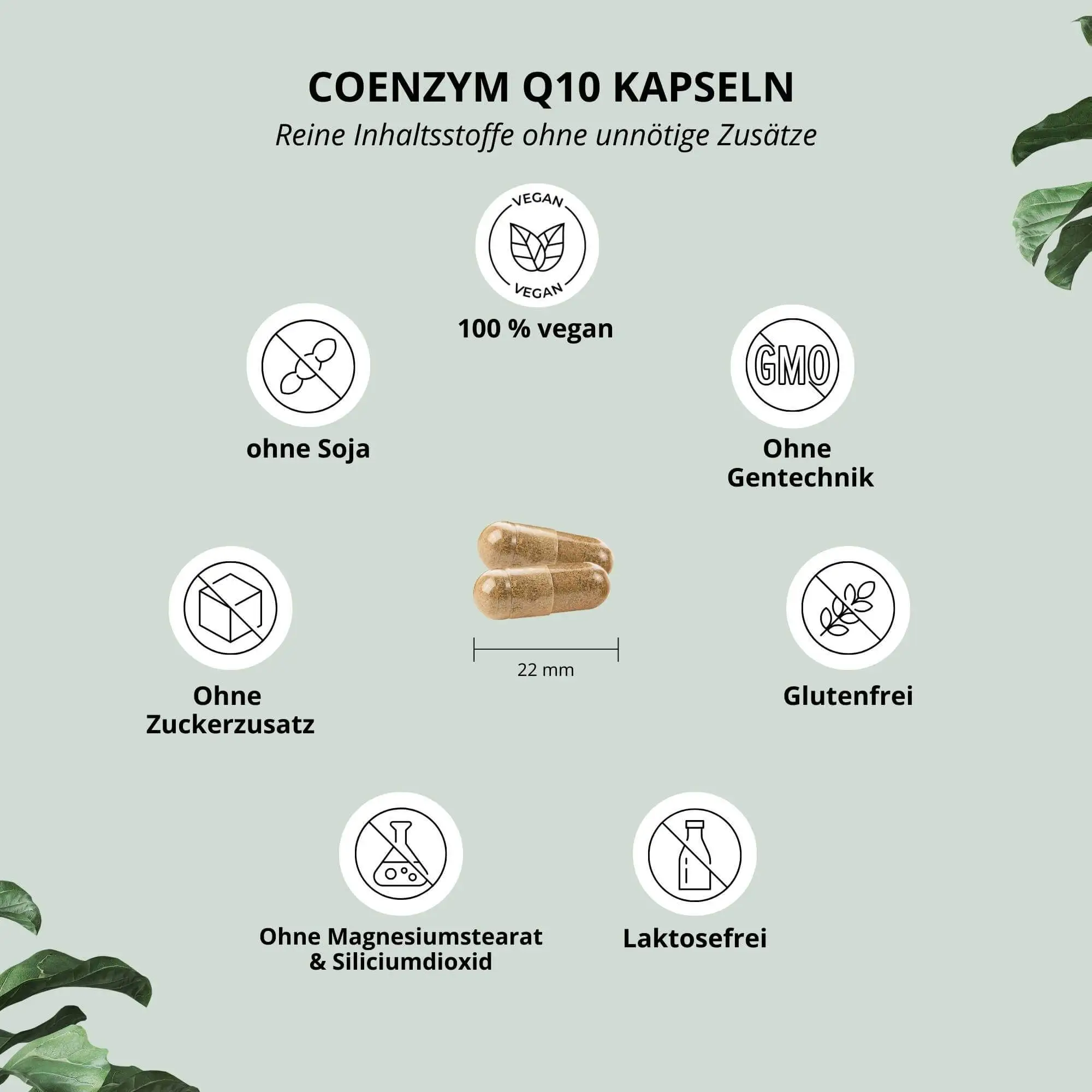 Coenzym Q10 Kapseln von nutri+ Benefits: 100 % vegan, 100 mg Q10 pro Kapsel, ohne Soja, glutenfrei, laktosefrei und ohne Gentechnik