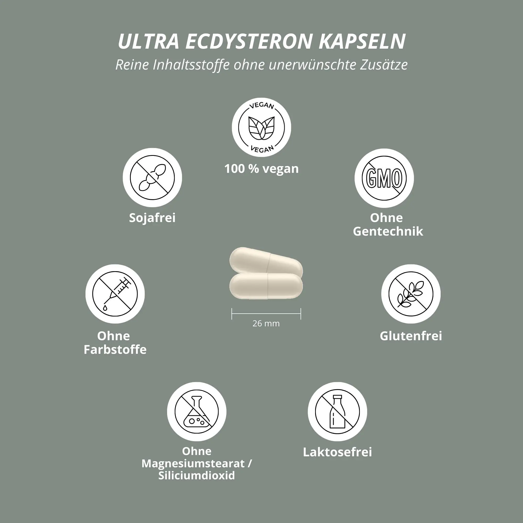 Ultra Ecdysteron Kapseln + Leucin: Übersicht der Inhaltsstoffe und Vorteile wie glutenfrei und vegan.
