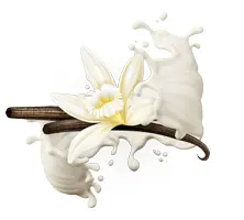 Illustration einer Vanilleblüte und Vanillestangen mit spritzender Milch.